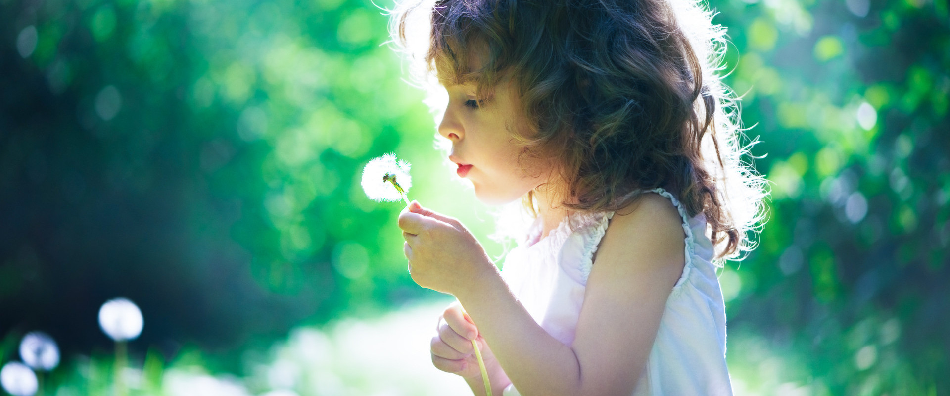 little carefree girl in unspoilt nature with a dandelion